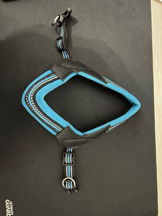 Pettorina per cane Regolabile Blu e nera