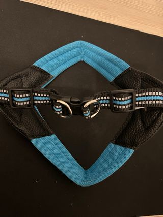 Pettorina per cane Regolabile Blu e nera