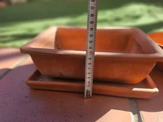 Macetas para bonsái