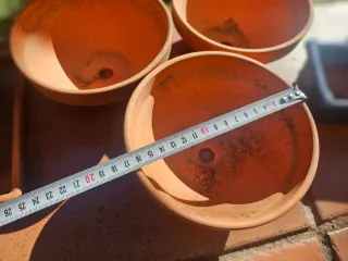 Macetas para bonsái