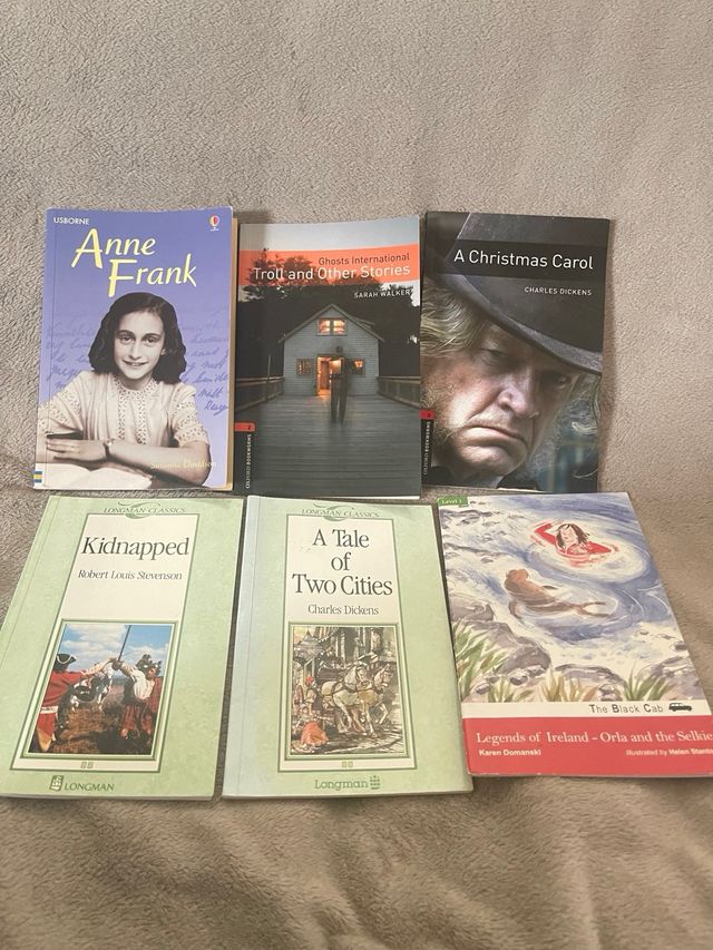 Lote 33 libros en ingles