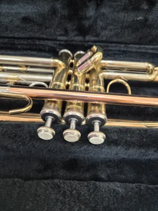 Trompeta Sib con estuche