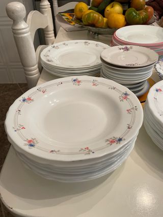 Lote 100 Platos Hondos, Llanos y Pequeños