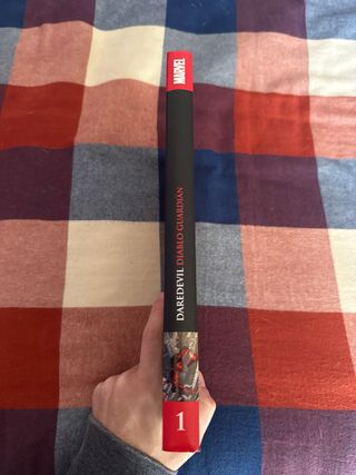 DAREDEVIL: DIABLO GUARDIÁN