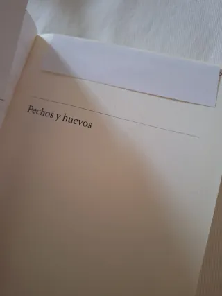 Pechos y huevos. Mieko Kawakami