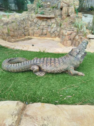 Cocodrilo grande decorativo