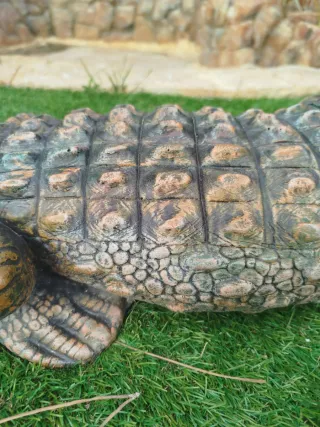 Cocodrilo grande decorativo