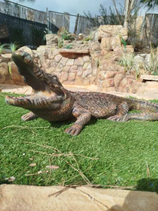 Cocodrilo grande decorativo