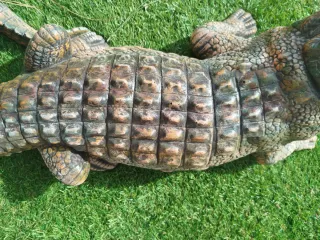 Cocodrilo grande decorativo