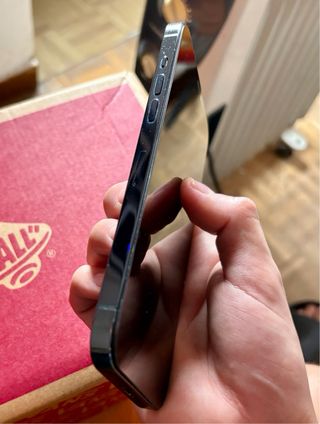 iPhone 12 Pro Max 256 GB Azul