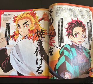 Animage Demon Slayer Special Issue 2021