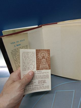 Dos libros, LA SANTA BIBILIA + VIDA DE JESUS
