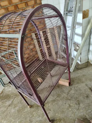 Jaula de loro