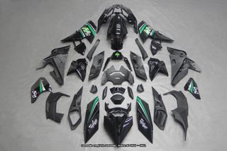 Oferta especial Carenado KAWASAKI NINJA H2 1000 16