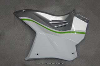 Oferta especial Carenado KAWASAKI NINJA H2 1000 16