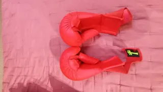 Protecciones Karate. Guantillas Pierna