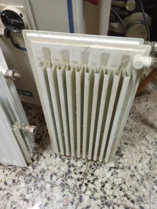 Radiadores Roca Vintage Agua