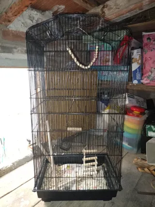 Jaula para pájaros negra y multicolor