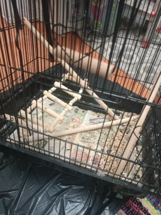 Jaula para pájaros negra y con puertas grandes