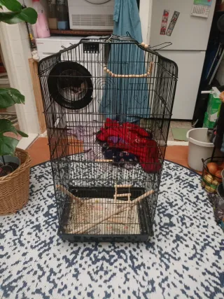 Jaula para pájaros negra y con puertas grandes