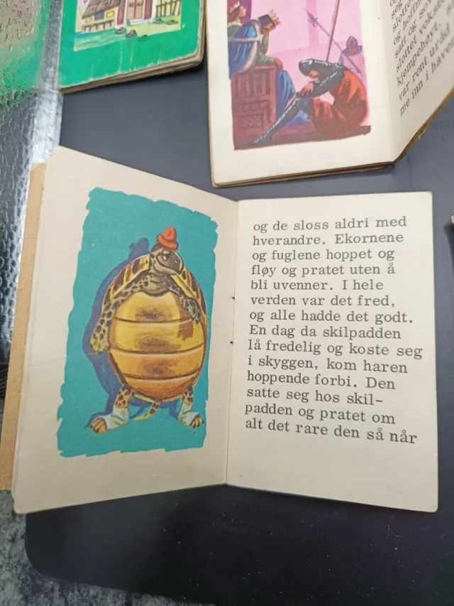 Lote 5 Mini Cuentos Infantiles Ilustrados