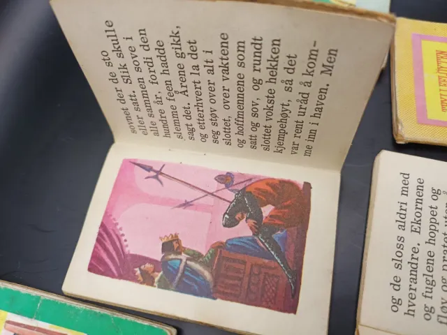 Lote 5 Mini Cuentos Infantiles Ilustrados