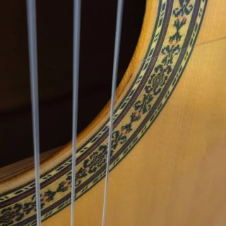 Guitarra de arce