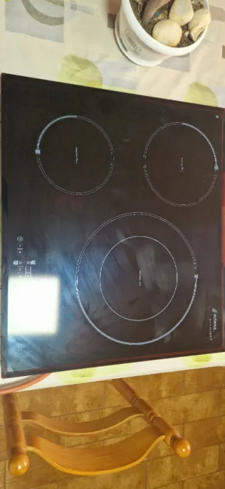 Placa Inducción Edesa Efficient Plus