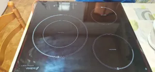 Placa Inducción Edesa Efficient Plus