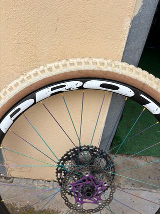 Ruedas Prototype World Cup Rainbow Edition