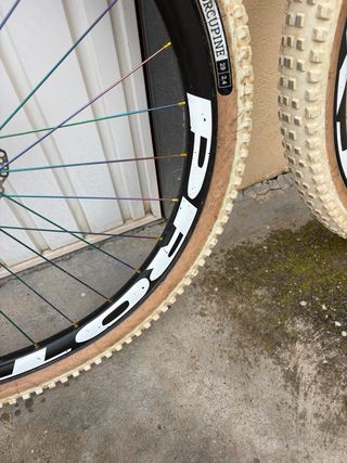 Ruedas Prototype World Cup Rainbow Edition