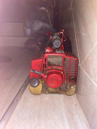 Maquina para aceitunas