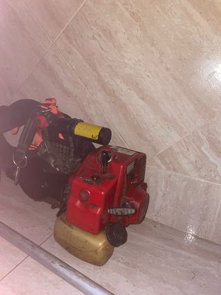 Maquina para aceitunas