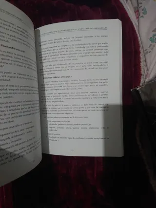 Atención a la diversidad en Educación Primaria