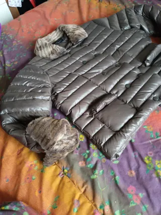 Chaqueta Javier Simorra corta plumón y pluma.