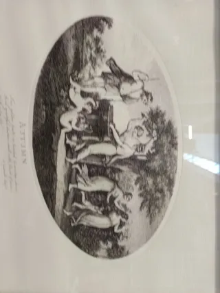 Stampe antiche misura 48x38