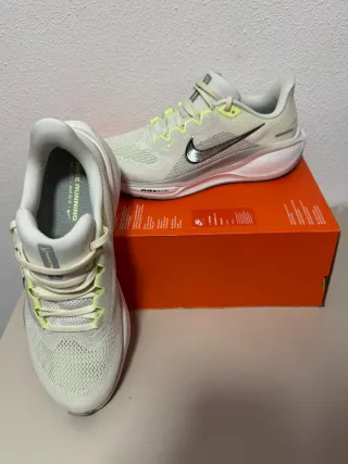 Zapatillas Nike Pegasus 41 mujer