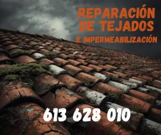 Reparación de Tejados