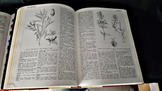 Enciclopedia medica