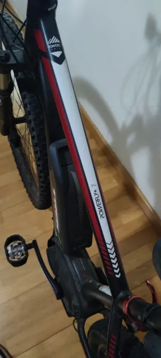 Bicicleta eléctrica