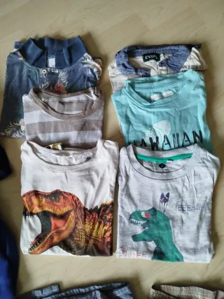 Lote ropa infantil T. 6 años