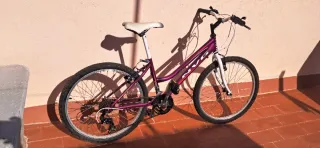 Bicicleta Morada