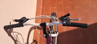 Bicicleta Morada