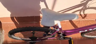 Bicicleta Morada