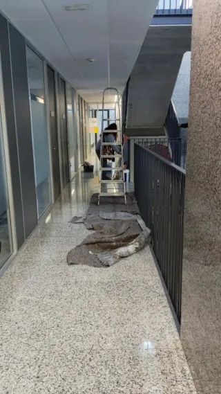 Busco trabajo para limpiar   casas o pintar