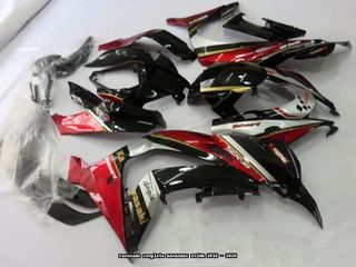 Oferta especial Carenado KAWASAKI ZX10R 2016 20