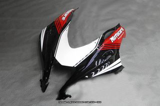 Oferta especial Carenado KAWASAKI ZX10R 2016 20