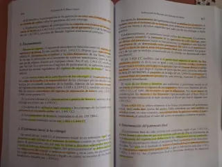 Instituciones de Derecho Civil Derecho de Famil...