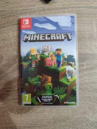 Minecraft Nintendo Switch