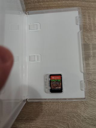 Minecraft Nintendo Switch